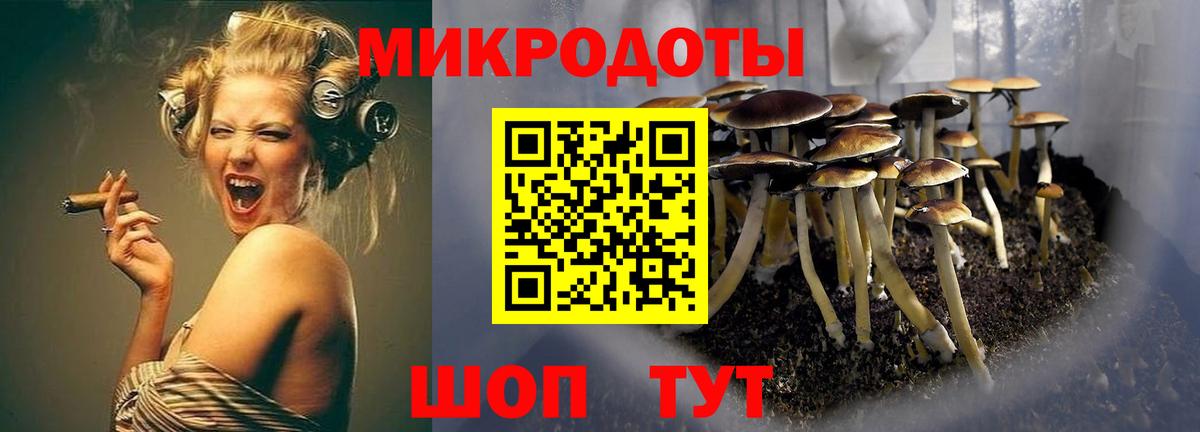 Псилоцибиновые грибы MAGIC MUSHROOMS  Вход с VPN  Красногорск 